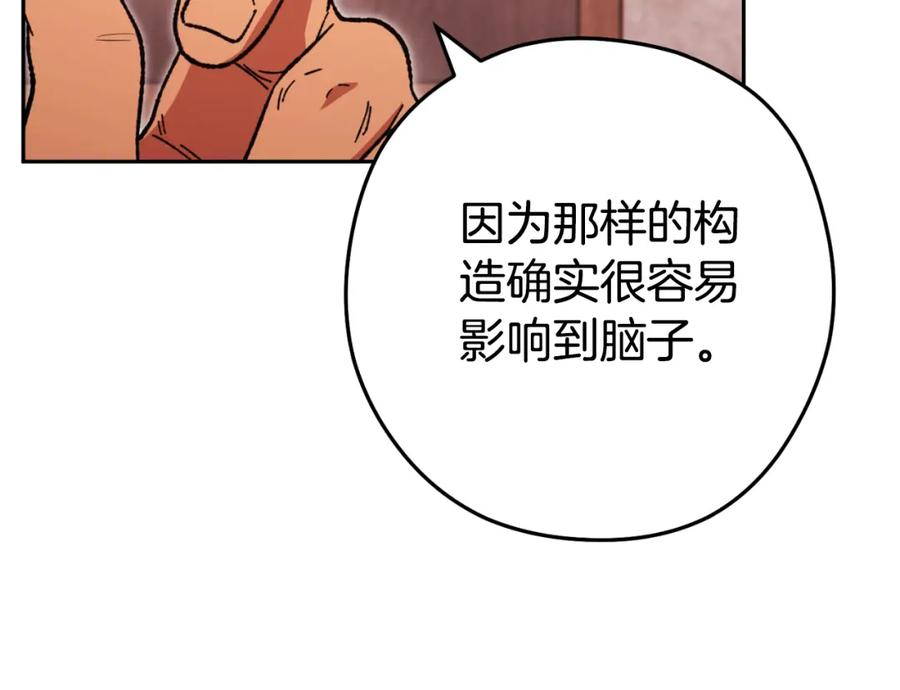 223.jpg