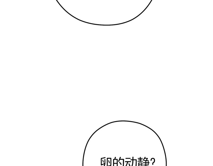 123.jpg