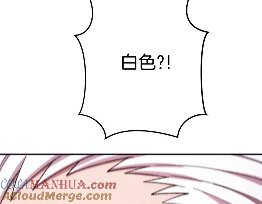 133.jpg