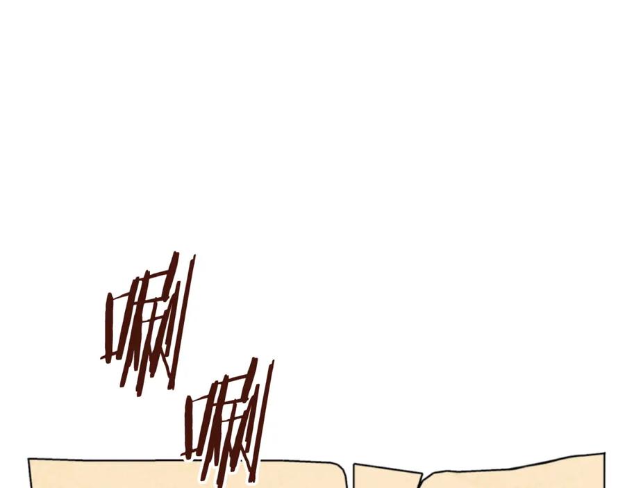 211.jpg