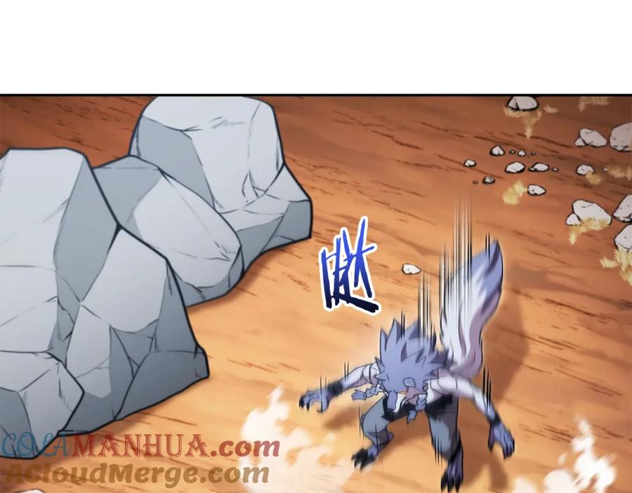 113.jpg