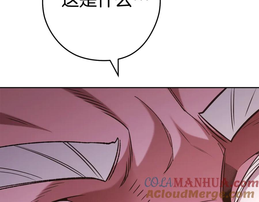 253.jpg