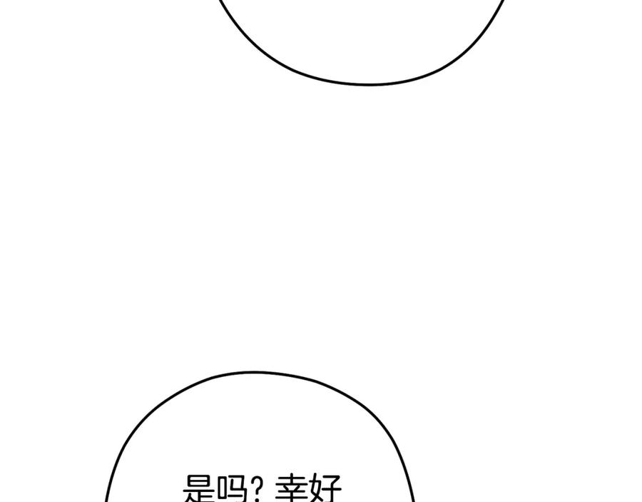 196.jpg