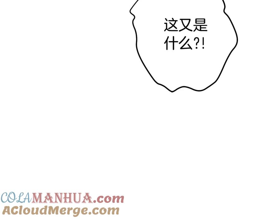 217.jpg