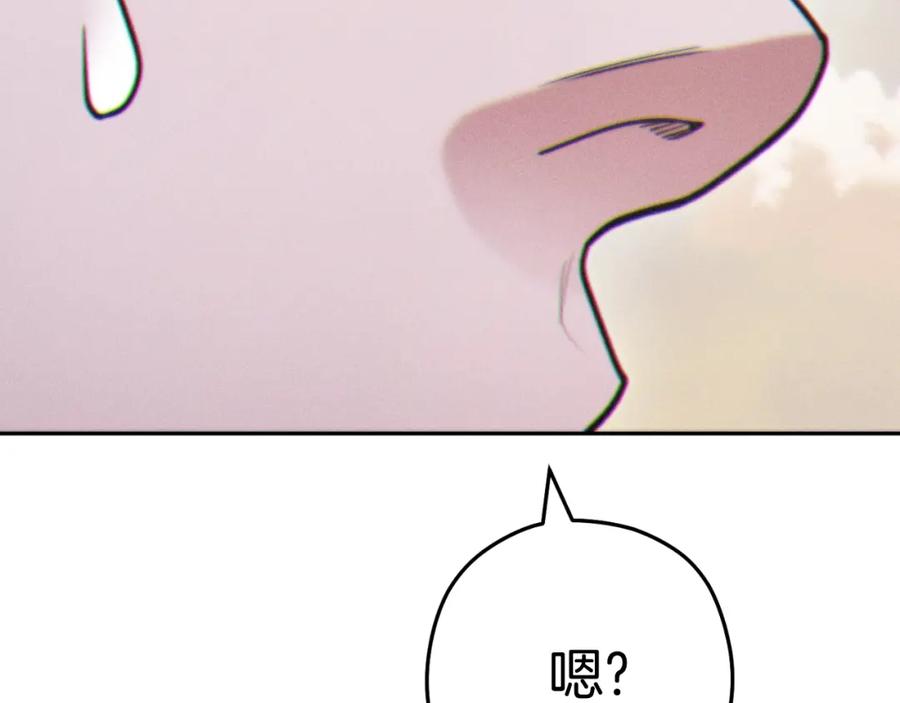 206.jpg