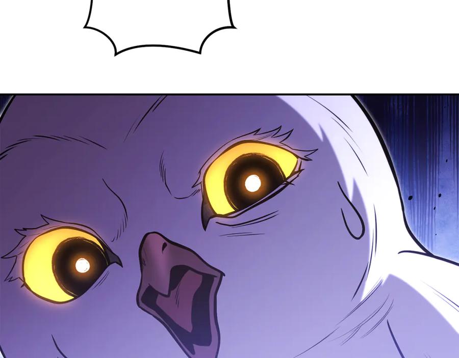 238.jpg