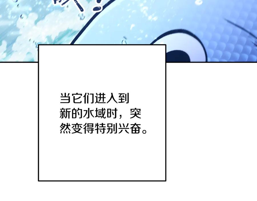 219.jpg