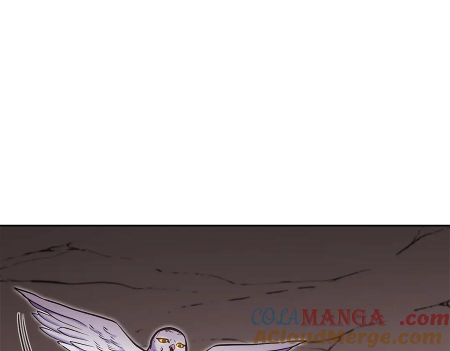 233.jpg
