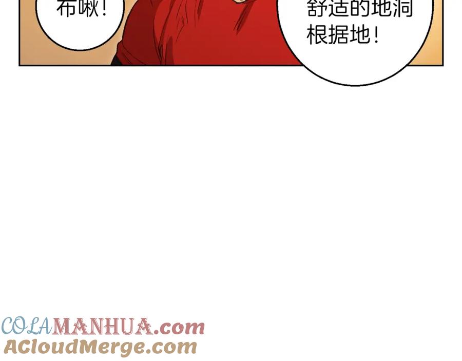 97.jpg