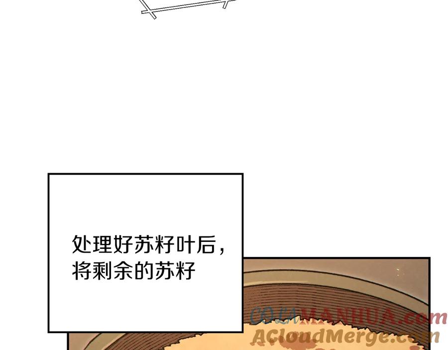 81.jpg