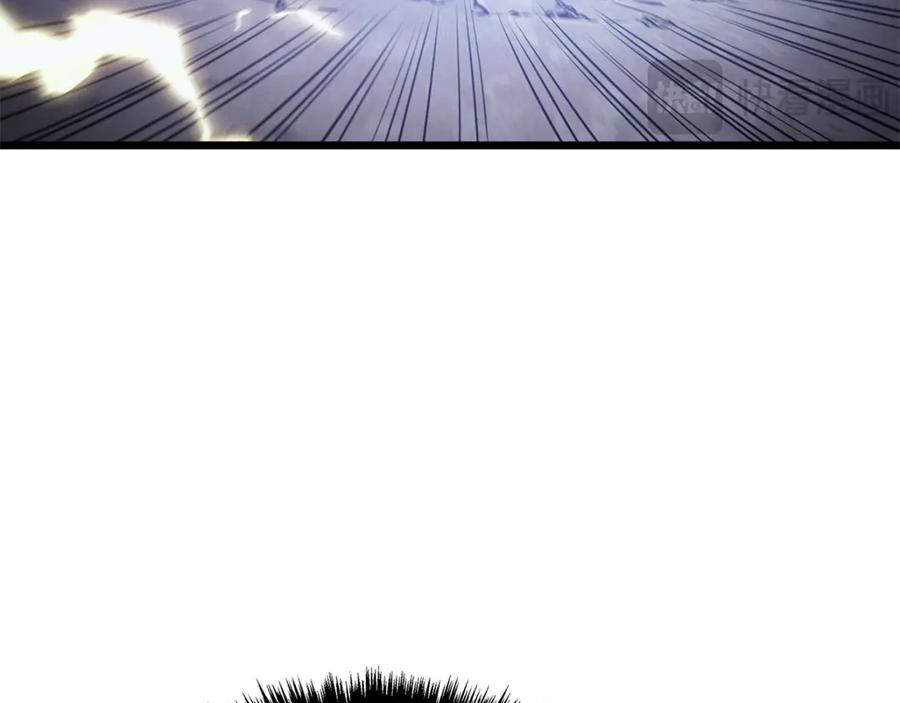 231.jpg