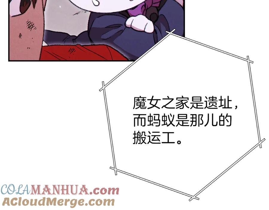 137.jpg