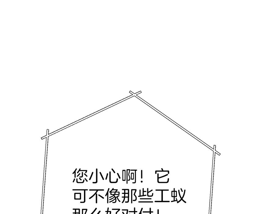80.jpg