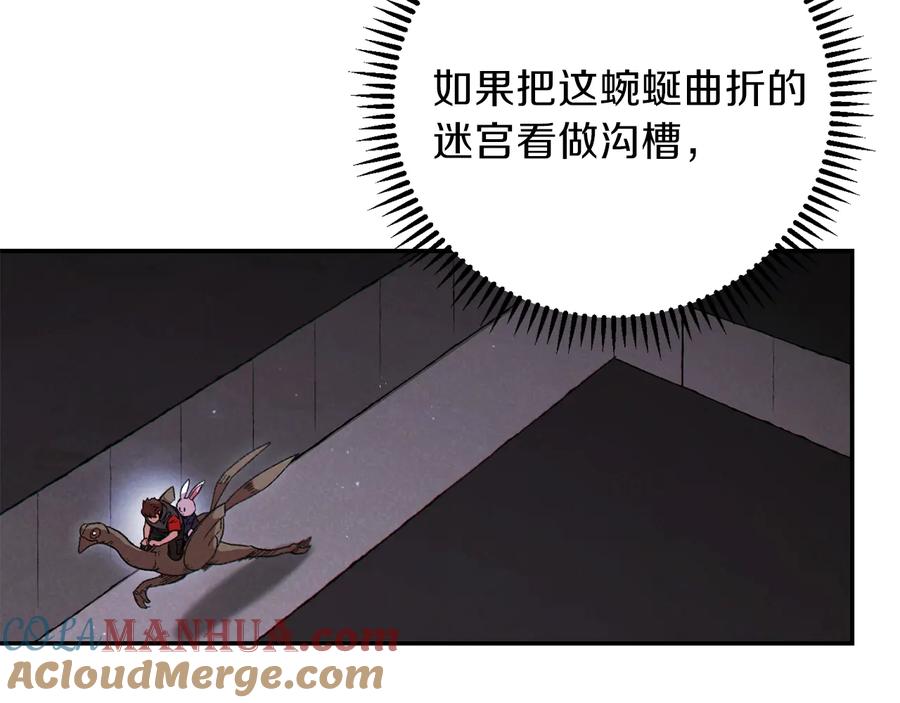 161.jpg