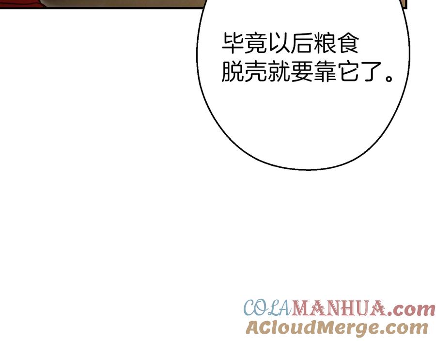97.jpg