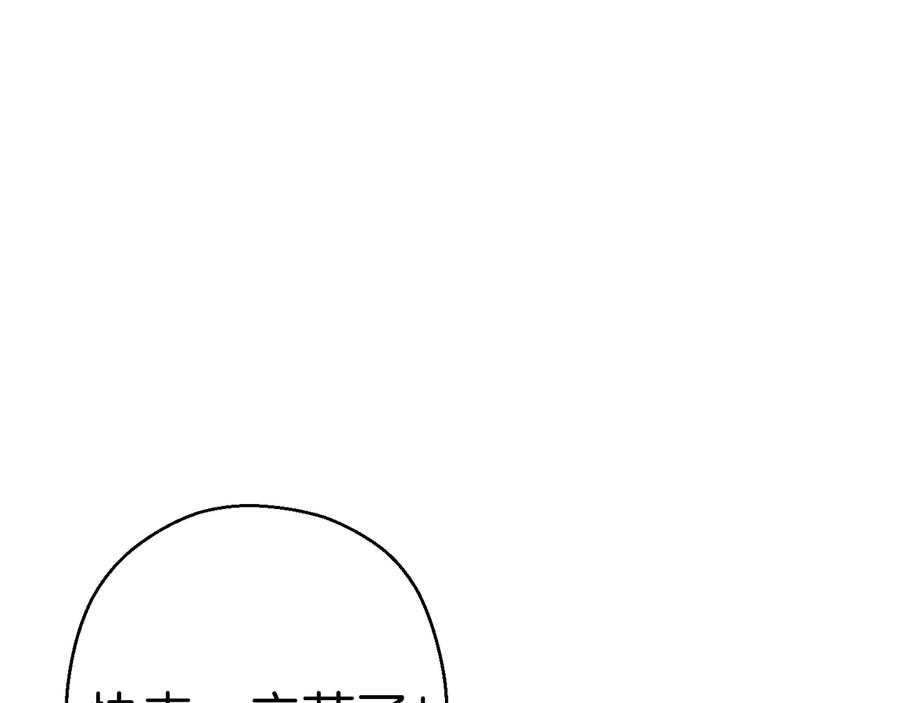 146.jpg