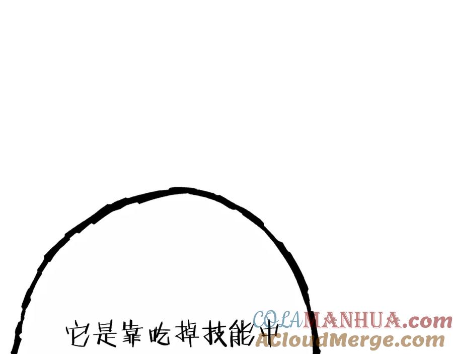205.jpg