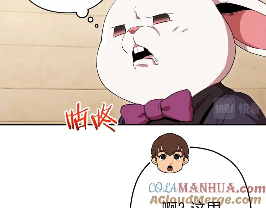 113.jpg