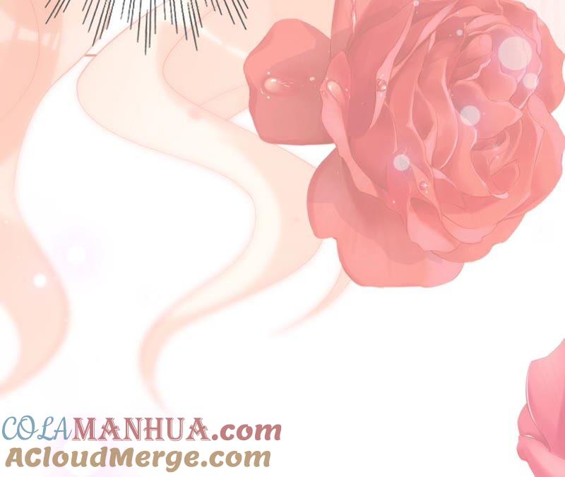 第195话奔赴星辰奔赴你-宠妻狂魔：百万千金要沦陷-分布文化（第37张）
