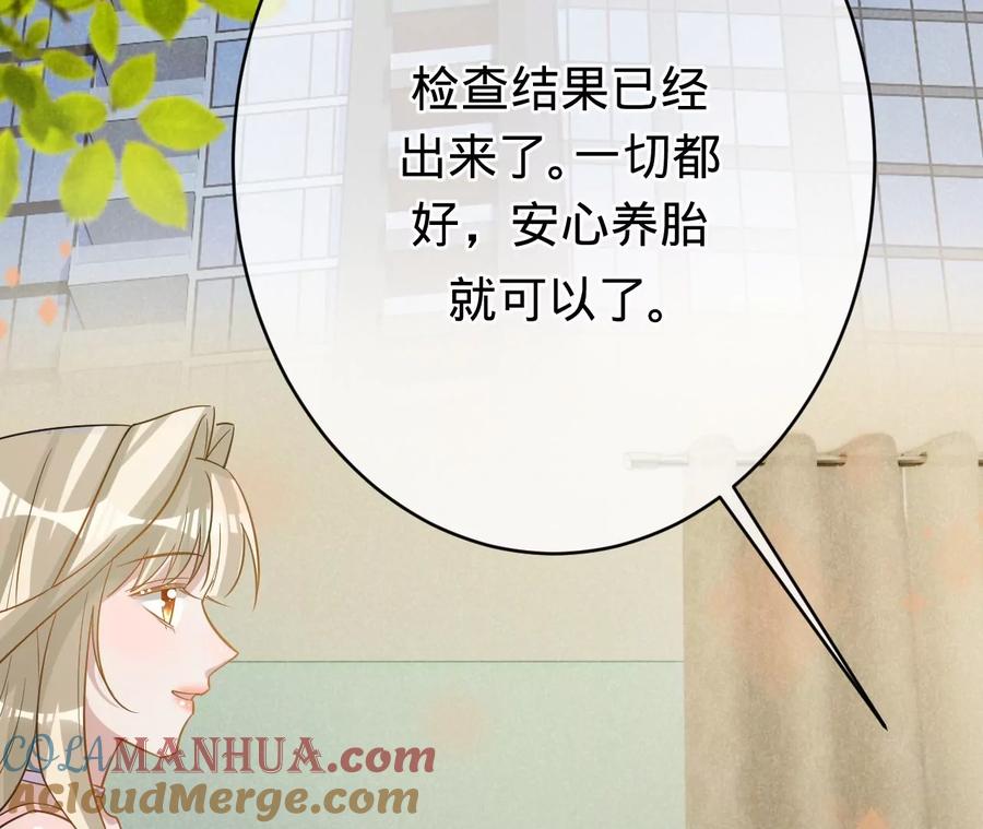 第204话不要这个孩子-宠妻狂魔：百万千金要沦陷-分布文化（第10张）