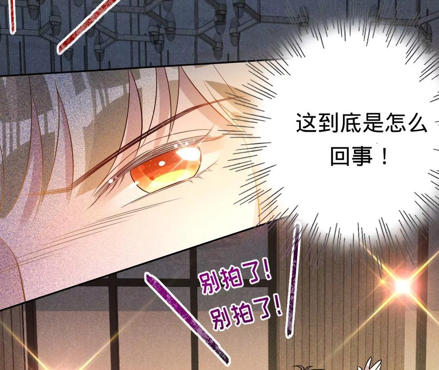 第207话永远相信我夫人！-宠妻狂魔：百万千金要沦陷-分布文化（第12张）
