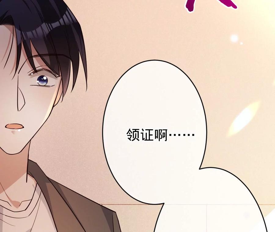 第217话不领证？-宠妻狂魔：百万千金要沦陷-分布文化（第15张）