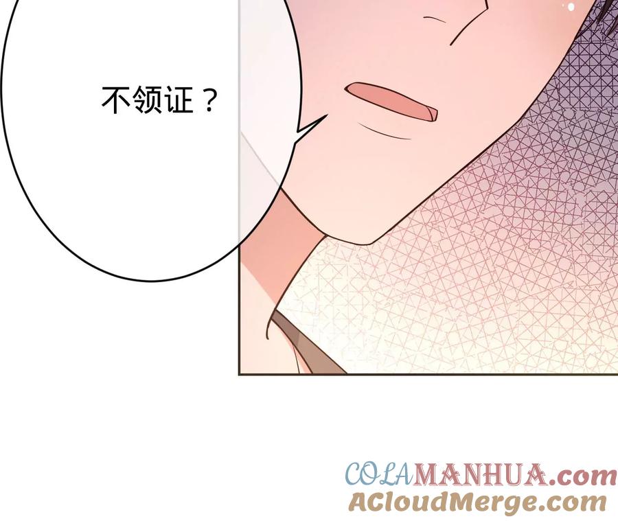 第217话不领证？-宠妻狂魔：百万千金要沦陷-分布文化（第19张）