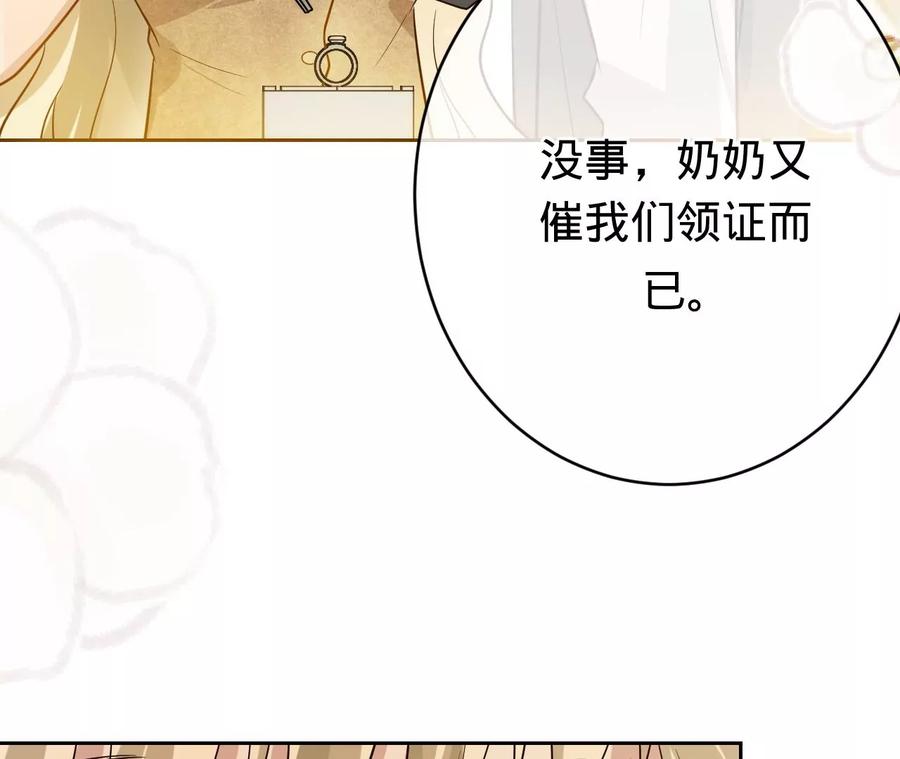 第217话不领证？-宠妻狂魔：百万千金要沦陷-分布文化（第12张）