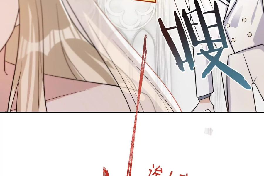 第228话我反对这场婚礼-宠妻狂魔：百万千金要沦陷-分布文化（第14张）