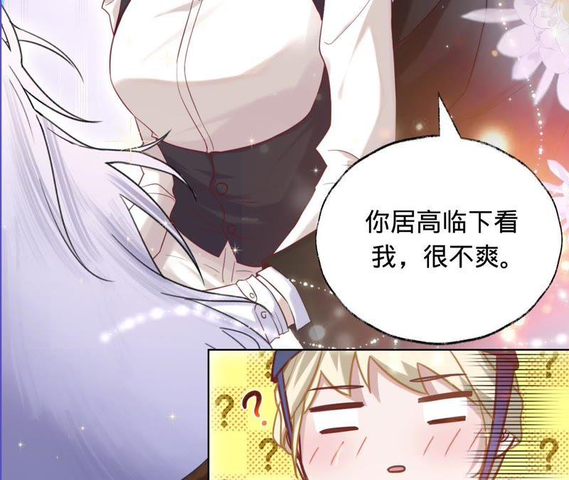 第41话它叫小白？-宠妻狂魔：百万千金要沦陷-分布文化（第17张）