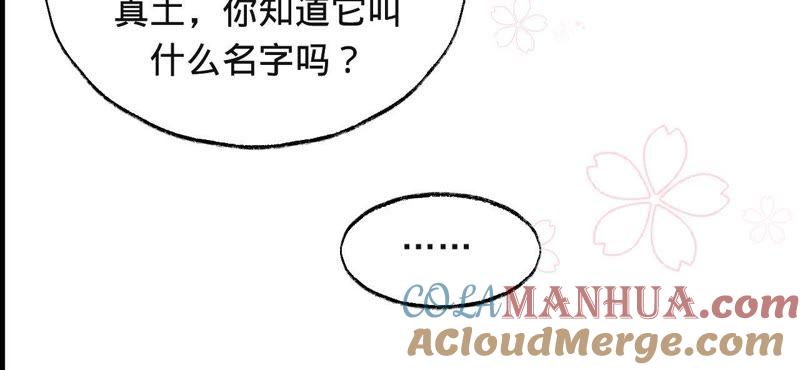 第41话它叫小白？-宠妻狂魔：百万千金要沦陷-分布文化（第28张）