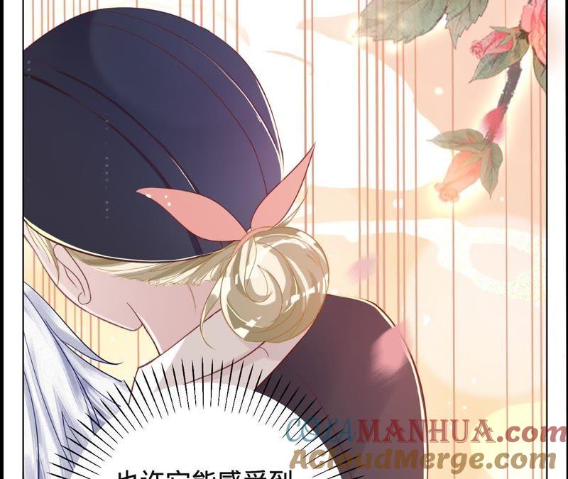 第41话它叫小白？-宠妻狂魔：百万千金要沦陷-分布文化（第25张）