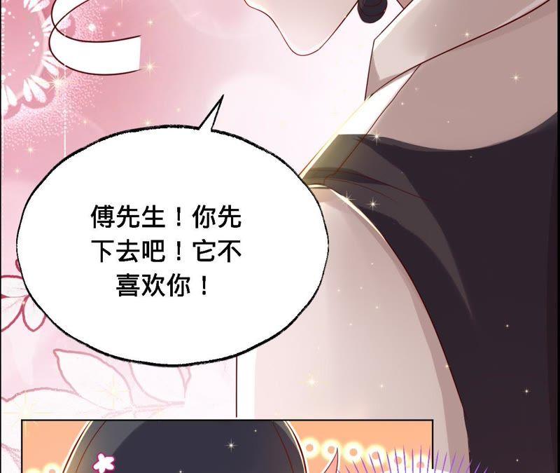 第41话它叫小白？-宠妻狂魔：百万千金要沦陷-分布文化（第42张）