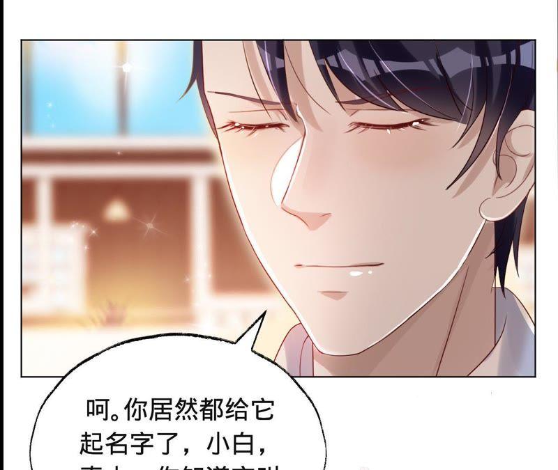 第41话它叫小白？-宠妻狂魔：百万千金要沦陷-分布文化（第27张）