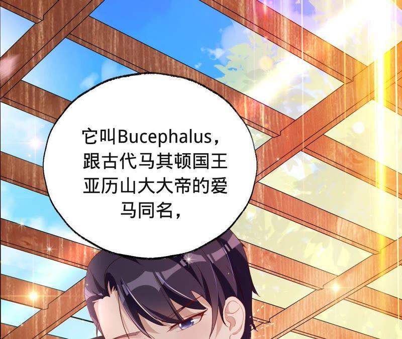 第41话它叫小白？-宠妻狂魔：百万千金要沦陷-分布文化（第29张）