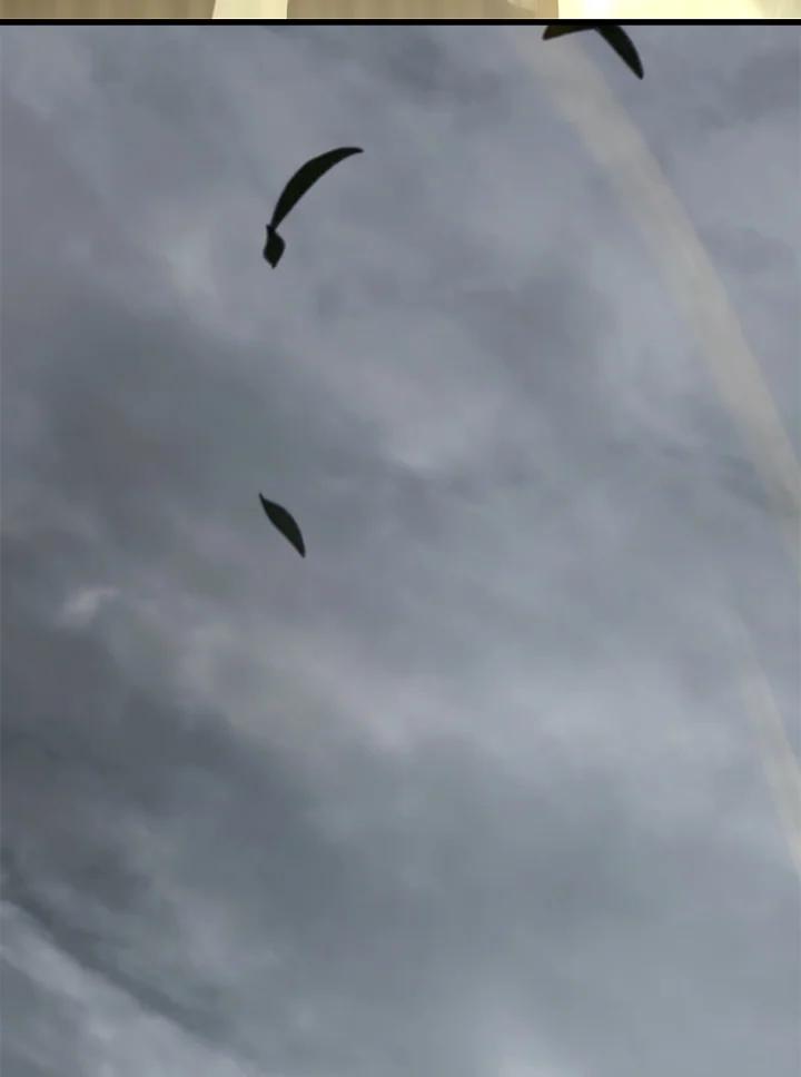 171.jpg