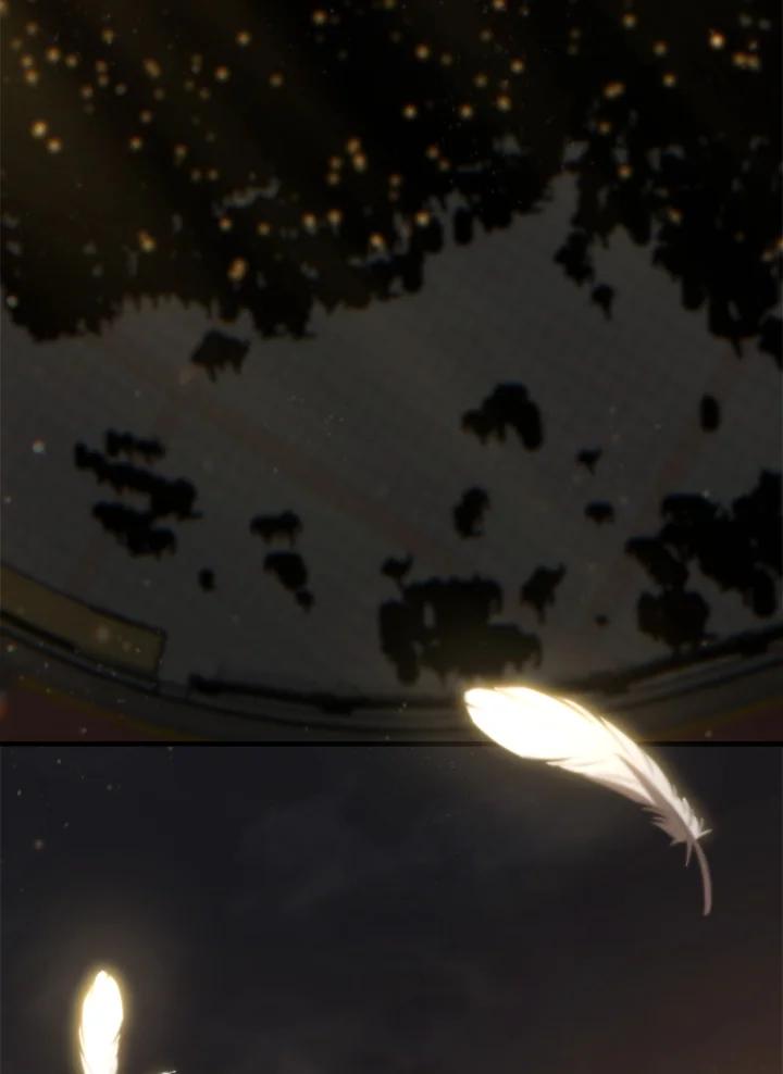 91.jpg