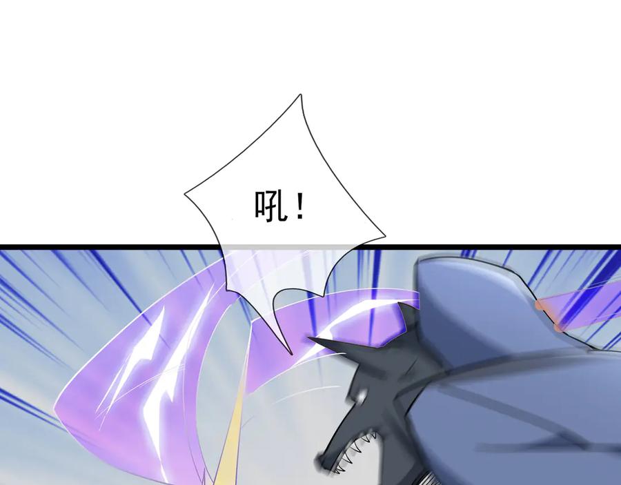 66.jpg