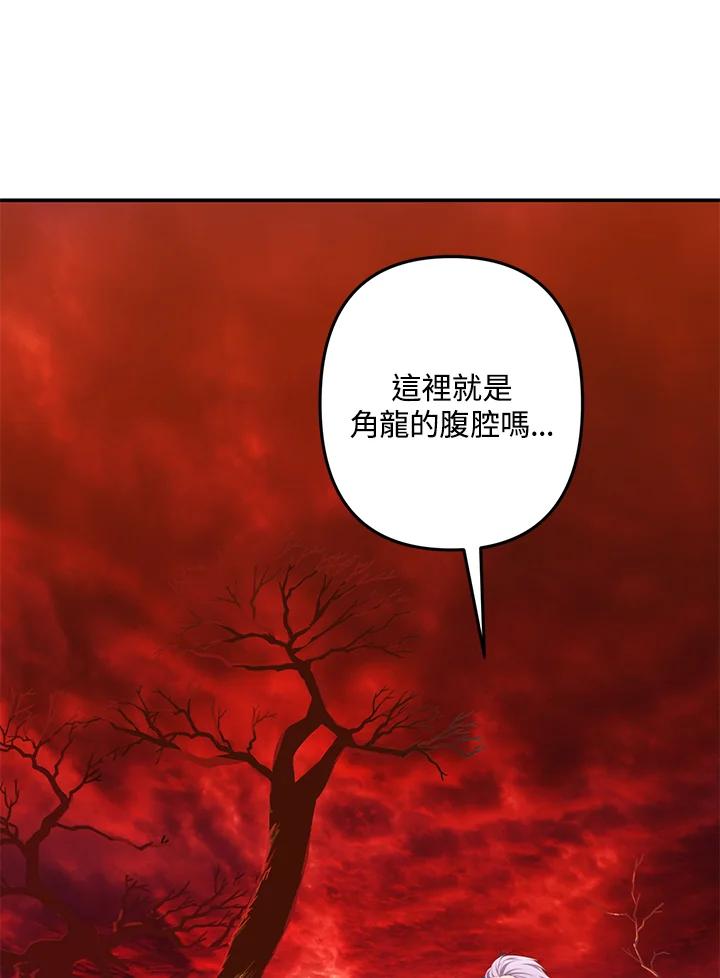 74.jpg