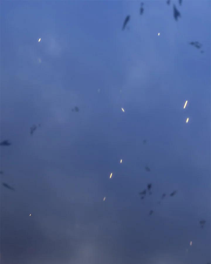 148.jpg
