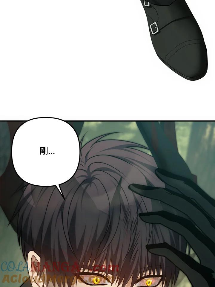 113.jpg