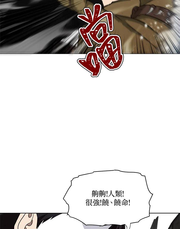 95.jpg