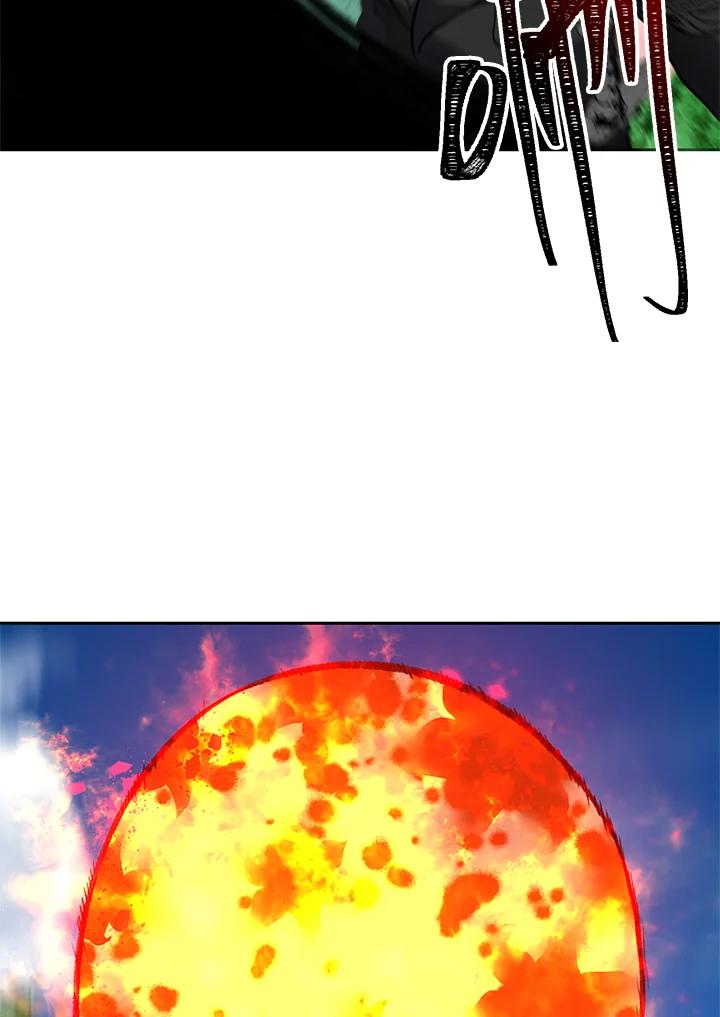 96.jpg
