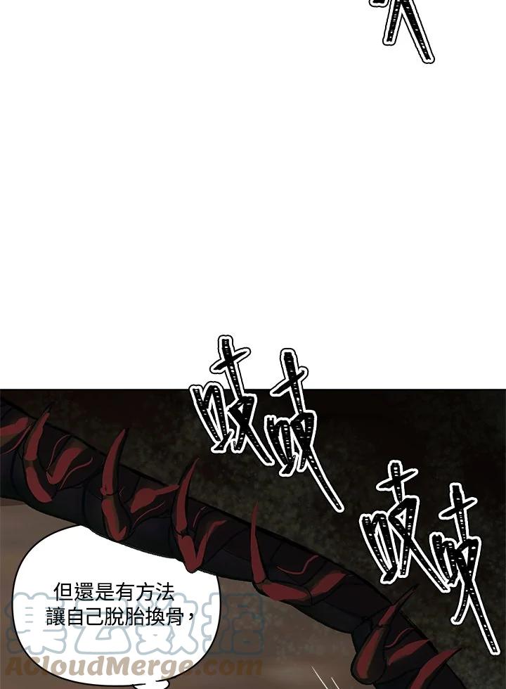 93.jpg