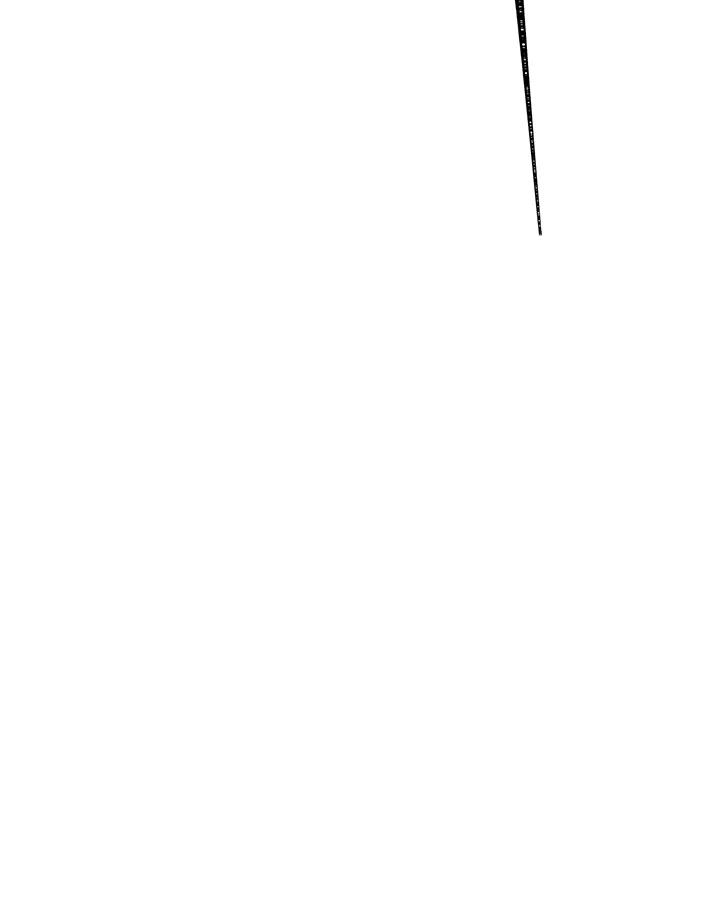 74.jpg