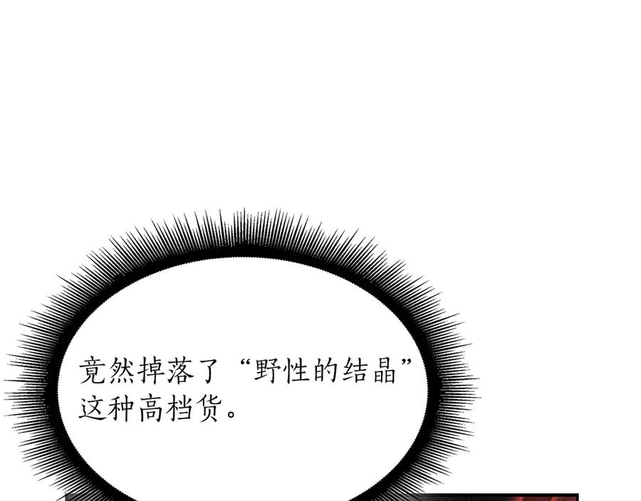 224.jpg