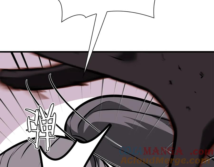 153.jpg