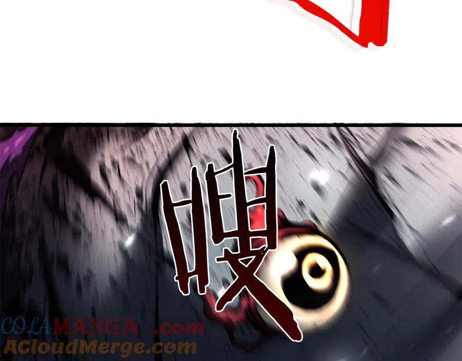 265.jpg