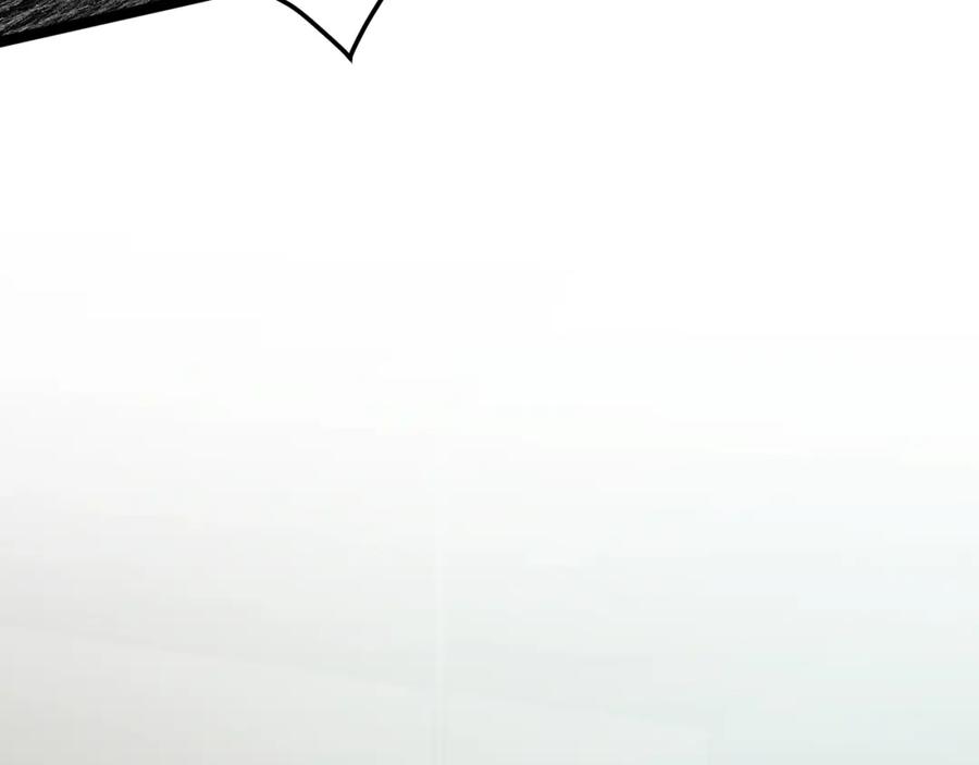 258.jpg