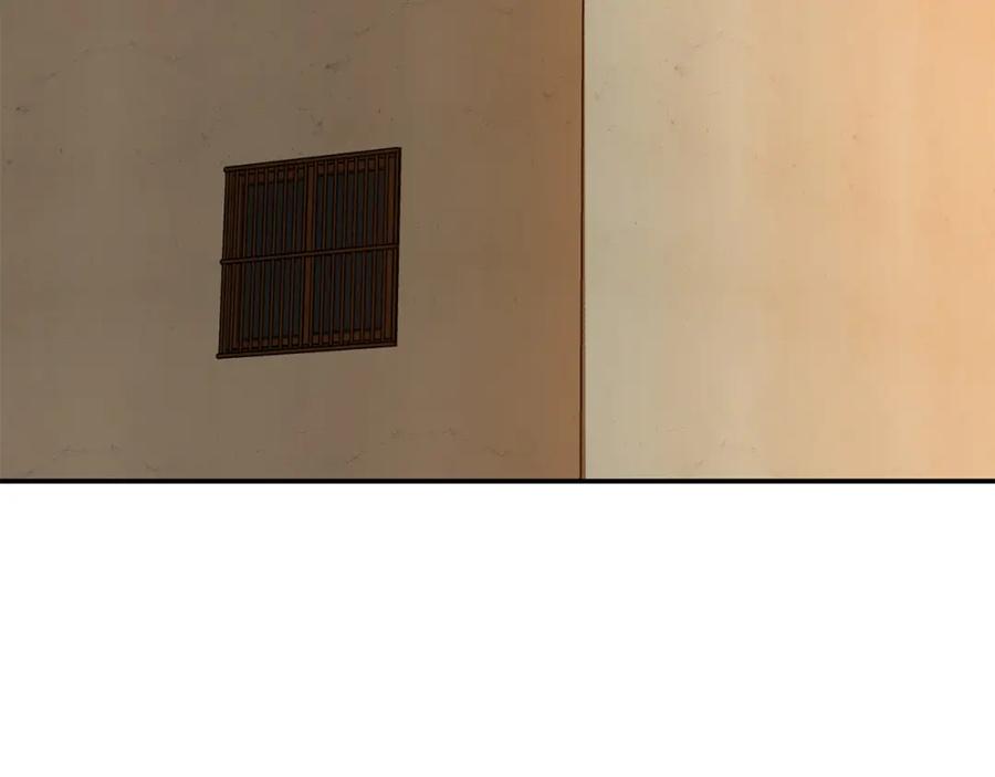 164.jpg
